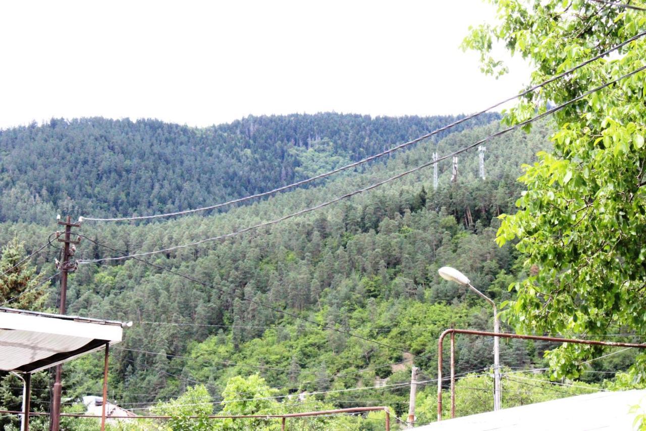 Guest House Tekla Borjomi Εξωτερικό φωτογραφία